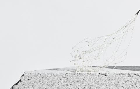 Collagen Amino Acids